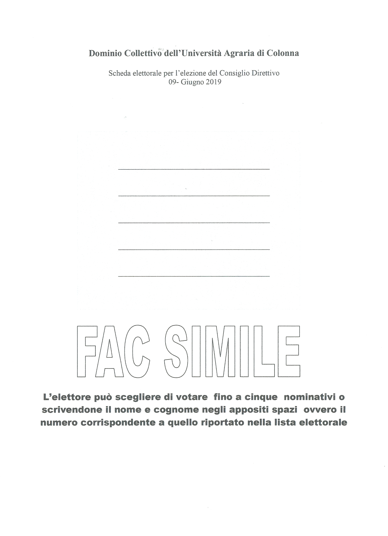 FAC SIMILE SCHEDA PER IL CONSIGLIO