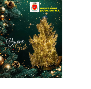 BUON NATALE 2024 BUON ANNO NUOVO 2025